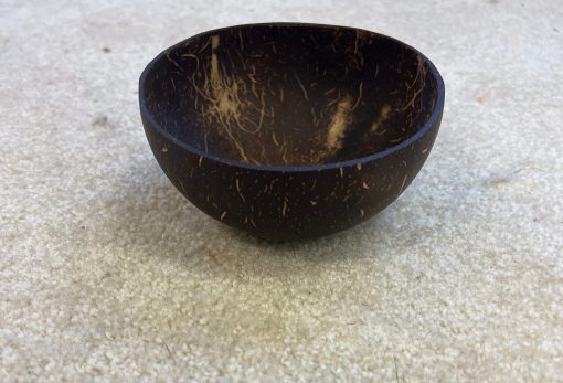 Natural Playbox Coconut Bowl